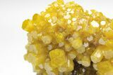 Golden Pyromorphite Crystal Cluster - Bunker Hill Mine, Idaho #208033-2
